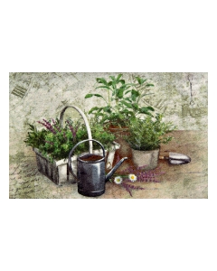Fußmatte Clean Keeper Summer Herbs 50x70cm