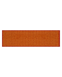 Fußmatte Clean Keeper terra 50x150cm