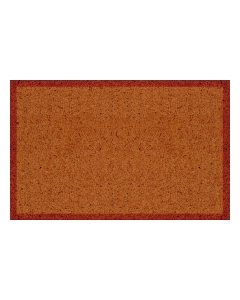 Fußmatte Clean Keeper terra 60x100cm