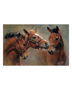Fußmatte Gallery Bruderschaft 50x80cm