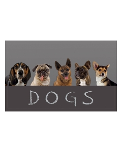 Fußmatte Gallery Dogs 50x80cm