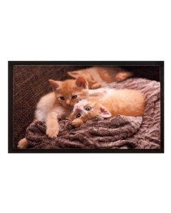 Fußmatte Image cats 40x60cm