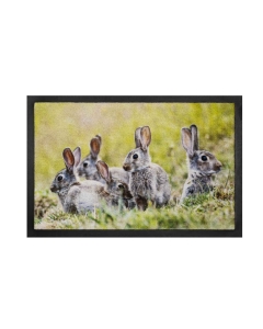 Fußmatte Image Rabbits 40x60cm