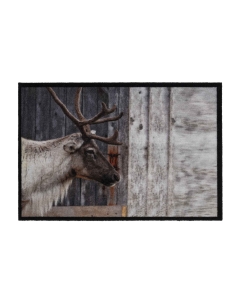 Fußmatte Mondial Wild Deer 50x75cm