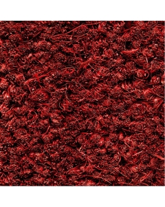 Fußmatte Ruco Coir rot 40x60cm