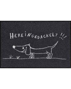 Fußmatte Hereingedackelt 50x75cm