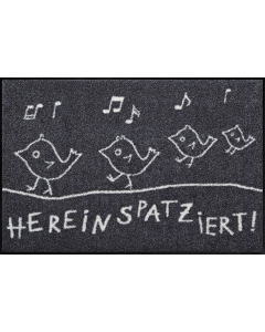 Fußmatte Hereinspatziert 50x75cm