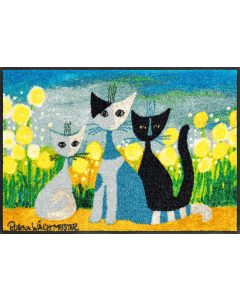 Fußmatte Springtime 50x75cm