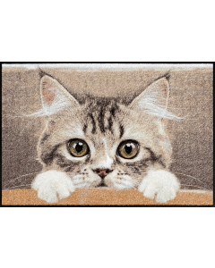 Fußmatte Nosy Cat 50x75cm