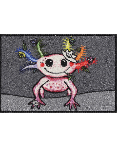 Fußmatte Funky Lotti 50x75cm
