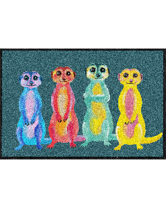 Fußmatte Rainbow Meerkats 50x75cm
