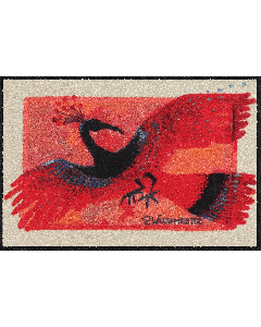 Fußmatte La Fenice 50x75cm