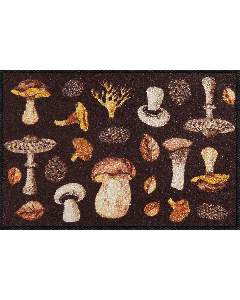 Fußmatte Mushroom Time 50x75cm